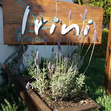 Pansion Irini Appartamento *